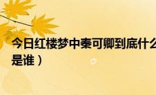 今日红楼梦中秦可卿到底什么病死的（红楼梦中秦可卿到底是谁）