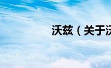 沃兹（关于沃兹的介绍）