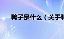 鸭子是什么（关于鸭子是什么的介绍）