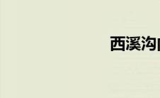 西溪沟内外毛