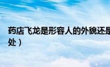 药店飞龙是形容人的外貌还是品格（药店飞龙成语解释及出处）