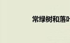 常绿树和落叶树(常绿树)