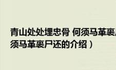 青山处处埋忠骨 何须马革裹尸还（关于青山处处埋忠骨 何须马革裹尸还的介绍）