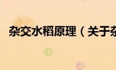 杂交水稻原理（关于杂交水稻原理的介绍）