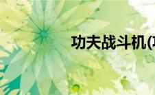 功夫战斗机(功夫战斗机)