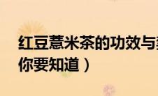 红豆薏米茶的功效与禁忌（3大功效4大禁忌你要知道）