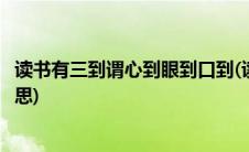 读书有三到谓心到眼到口到(读书有三到谓心到眼到口到的意思)