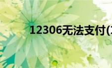 12306无法支付(12306无法支付)