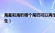 海星和海豹哪个尾巴可以再生（海星和海豹尾巴都是可以再生）