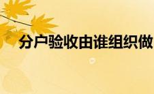 分户验收由谁组织做(分户验收由谁组织)