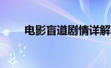 电影盲道剧情详解（盲道主演是谁）