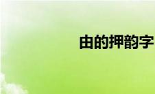 由的押韵字(由的意思)