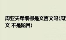 周亚夫军细柳是文言文吗(周亚夫军细柳的翻译是什么  是古文 不是题目)
