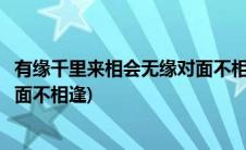 有缘千里来相会无缘对面不相逢图片(有缘千里来相会无缘对面不相逢)