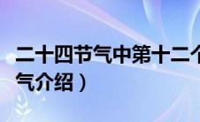 二十四节气中第十二个节气是什么（二十四节气介绍）