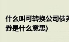 什么叫可转换公司债券好吗(a股可转换公司债券是什么意思)