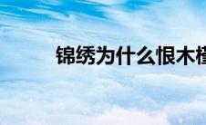锦绣为什么恨木槿（长相守简介）