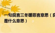 一句良言三冬暖恶言意思（良言一句三冬暖恶语伤人六月寒是什么意思）