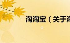 淘淘宝（关于淘淘宝的介绍）