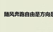 随风奔跑自由是方向是什么歌（奔跑歌词）