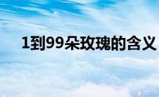 1到99朵玫瑰的含义（分别是什么意思）