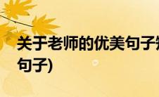 关于老师的优美句子短一点(关于老师的优美句子)