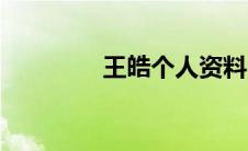 王皓个人资料（王皓介绍）