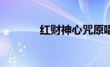 红财神心咒原唱(红财神心咒)