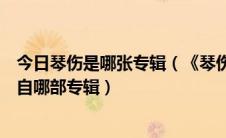 今日琴伤是哪张专辑（《琴伤》是周杰伦什么时候出的歌出自哪部专辑）