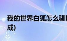 我的世界白狐怎么驯服(我的世界白狐怎么合成)