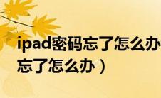 ipad密码忘了怎么办该怎么解决（ipad密码忘了怎么办）