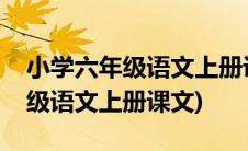 小学六年级语文上册课文穷人作者(小学六年级语文上册课文)