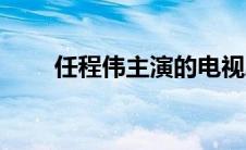 任程伟主演的电视剧（你都看过吗）