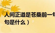人间正道是苍桑前一句（人间正道是苍桑前一句是什么）