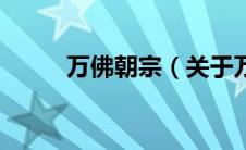 万佛朝宗（关于万佛朝宗的介绍）