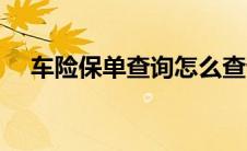 车险保单查询怎么查询（车险保什么好）
