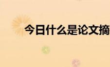 今日什么是论文摘要（什么是论文）