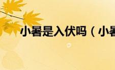 小暑是入伏吗（小暑是代表入伏对吗）