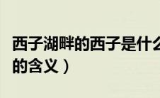 西子湖畔的西子是什么意思（西子湖畔的西子的含义）