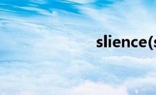 slience(slience)