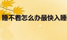 睡不着怎么办最快入睡方法（睡不着怎么办）