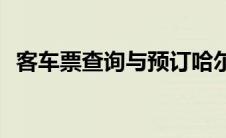 客车票查询与预订哈尔滨(客车票查询官网)