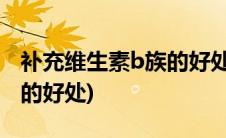 补充维生素b族的好处能减肥(补充维生素b族的好处)