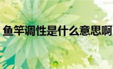 鱼竿调性是什么意思啊(鱼竿调性是什么意思)