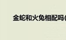 金蛇和火兔相配吗(就是皇后txt下载)