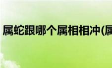 属蛇跟哪个属相相冲(属蛇的和什么属相相冲)