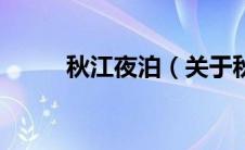 秋江夜泊（关于秋江夜泊的介绍）