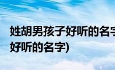 姓胡男孩子好听的名字大全2015(姓胡男孩子好听的名字)