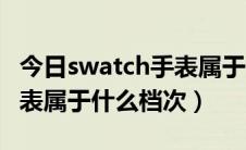 今日swatch手表属于什么档次的（swatch手表属于什么档次）