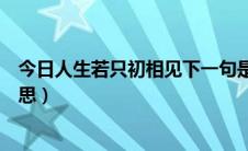 今日人生若只初相见下一句是啥（人生若只初相见是什么意思）